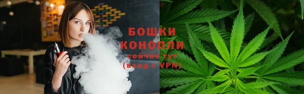 сатива Краснослободск