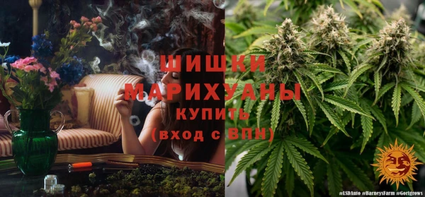 прущие грибы Красноперекопск