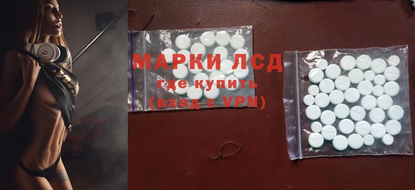 сатива Краснослободск