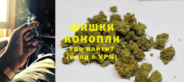 сатива Краснослободск