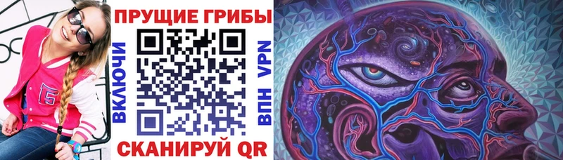 как найти закладки  Холмск  mega ссылка  Псилоцибиновые грибы Cubensis 