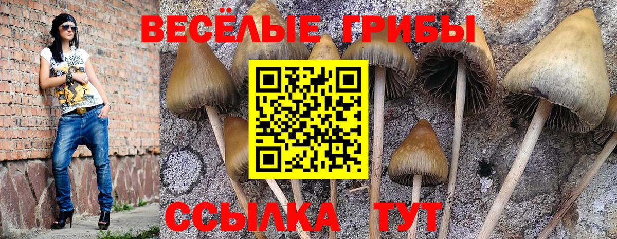 Псилоцибиновые грибы Psilocybine cubensis  Вход с VPN  Холмск 
