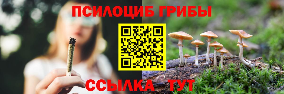 Псилоцибиновые грибы Magic Shrooms Холмск